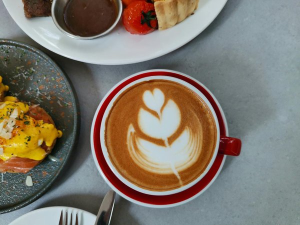 Explore the best women's ponchos: chic options for every season